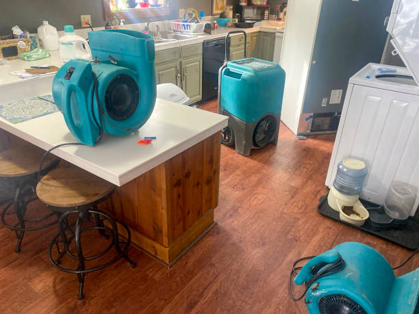 Best Ceiling water damage repair  in Platte, SD