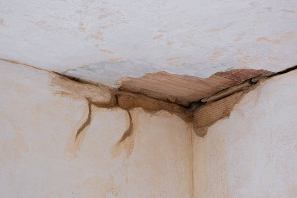 Best Water damage restoration specialists  in Platte, SD