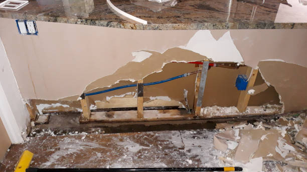 Best 24-hour water damage restoration  in Platte, SD