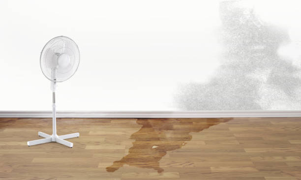Reliable Platte, SD Water damage restoration Solutions
